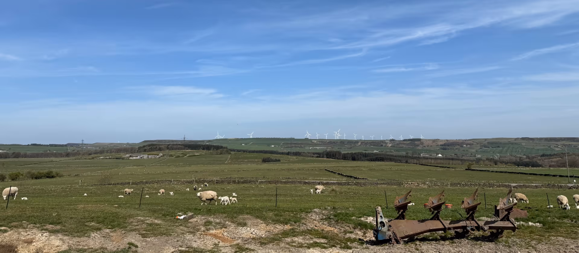 A beautiful view across the farm lands at Lazy Daisy's